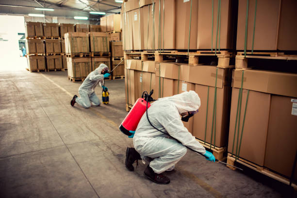 Best Emergency Pest Control  in Prices Fork, VA