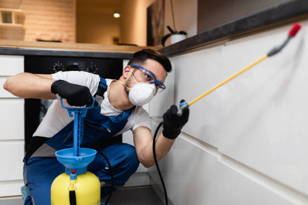 Best Bed Bug Extermination  in Prices Fork, VA