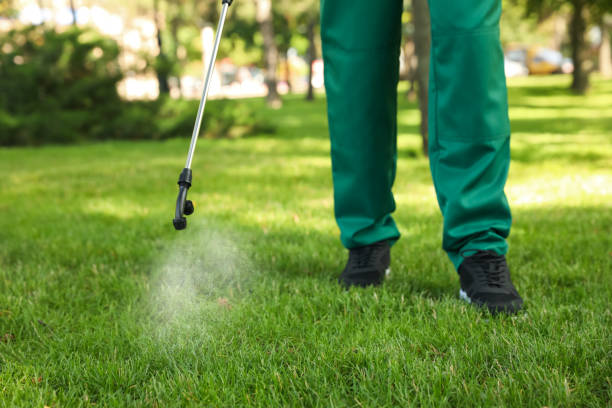 Best Termite Control Services  in Prices Fork, VA