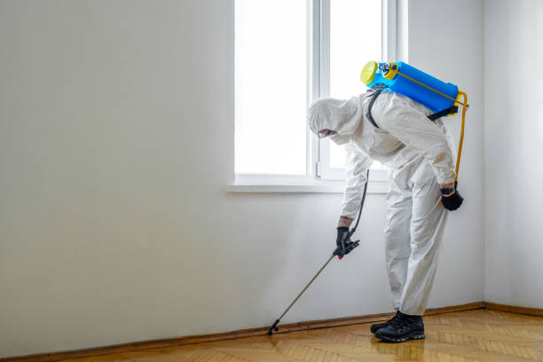 Best Best Pest Control Companies  in Prices Fork, VA