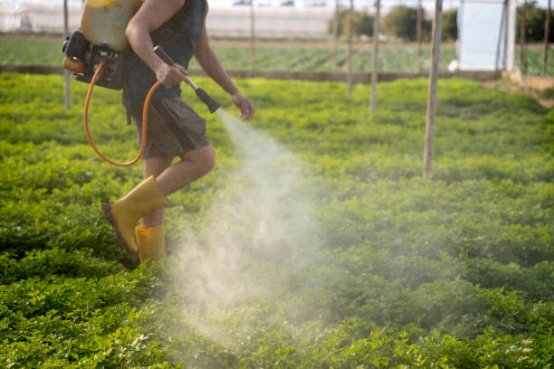 Best Commercial Pest Control Services  in Prices Fork, VA