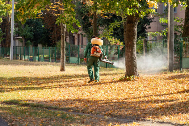 Best Termite Control Services  in Prices Fork, VA