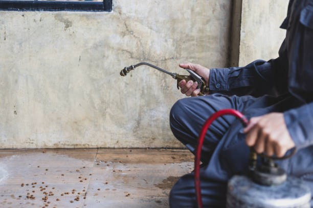 Best Pest Control for Restaurants  in Prices Fork, VA