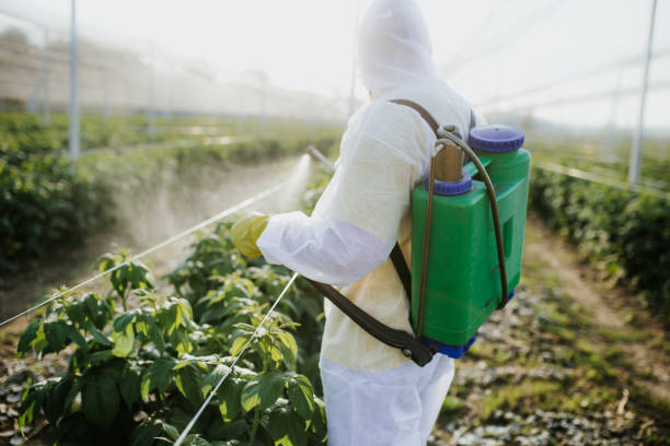 Professional Pest Control in Prices Fork, VA
